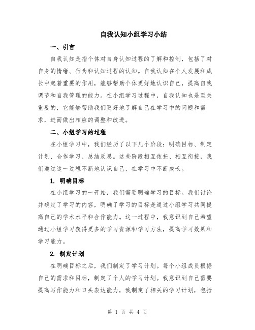 自我认知小组学习小结