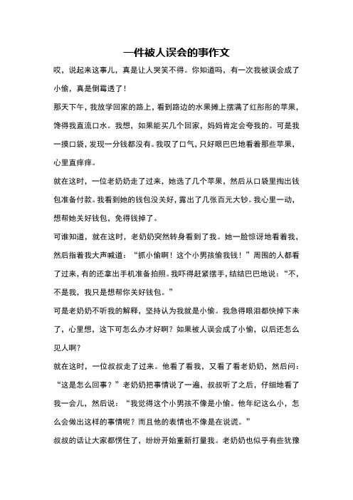 一件被人误会的事作文