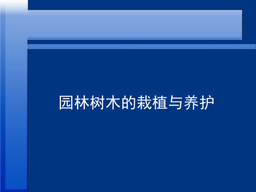 园林树木的栽培与养护课件