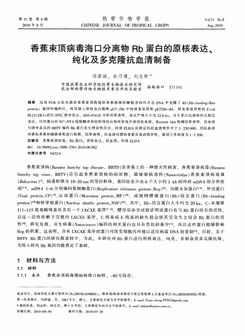 香蕉束顶病毒海口分离物Rb蛋白的原核表达、纯化及多克隆抗血清制备