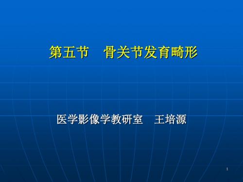 骨与关节发育畸形王培源OK