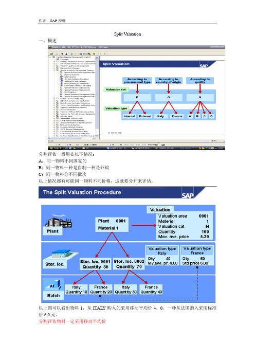 SAP 分割评估