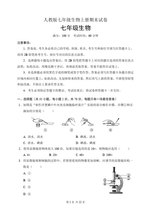 人教版七年级生物上册期末试卷(含答案)