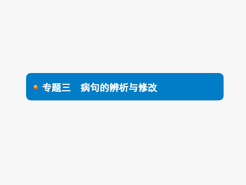 专题三 病句的辨析与修改