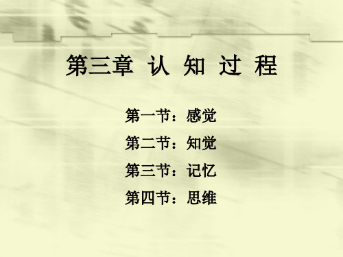 第三章 认知过程