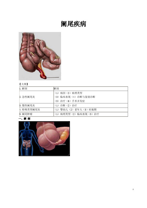 阑尾疾病