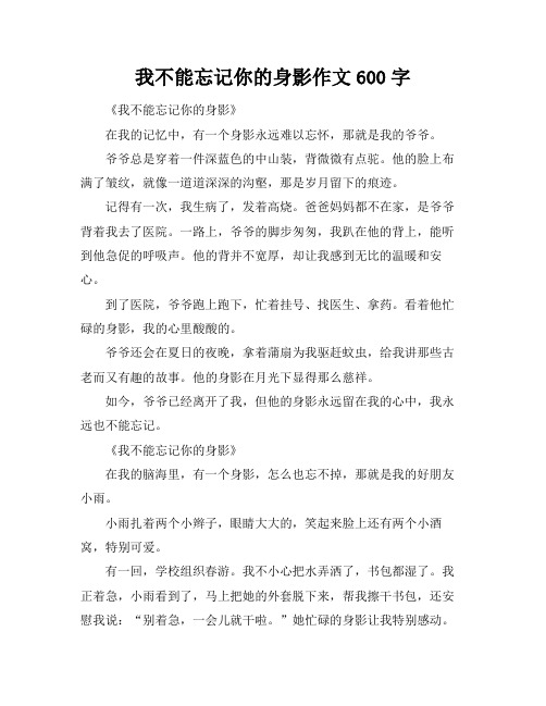 我不能忘记你的身影作文600字