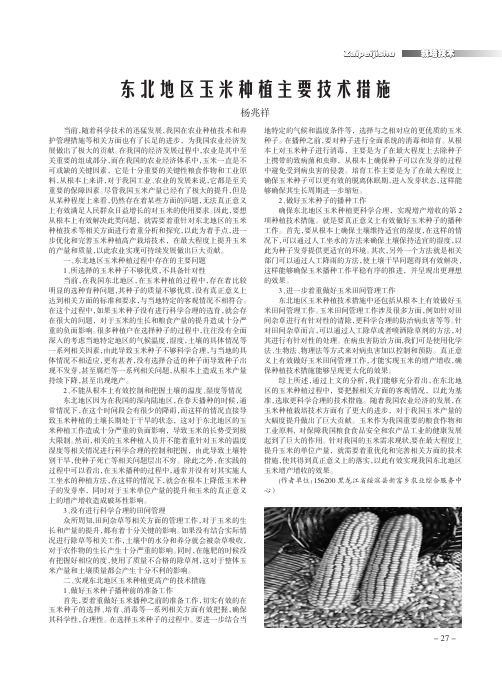 东北地区玉米种植主要技术措施