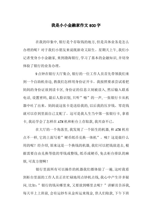 我是小小金融家作文800字