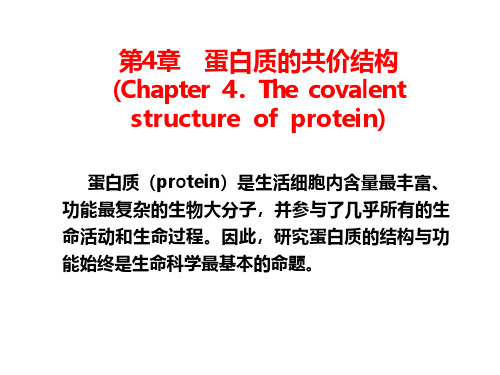 生物化学第4章 蛋白质的共价结构