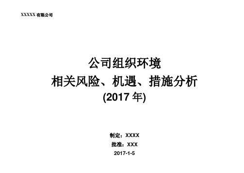 07-B-2017年风险和机遇评估分析表