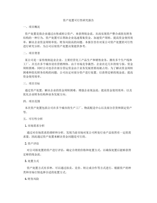 资产处置可行性研究报告