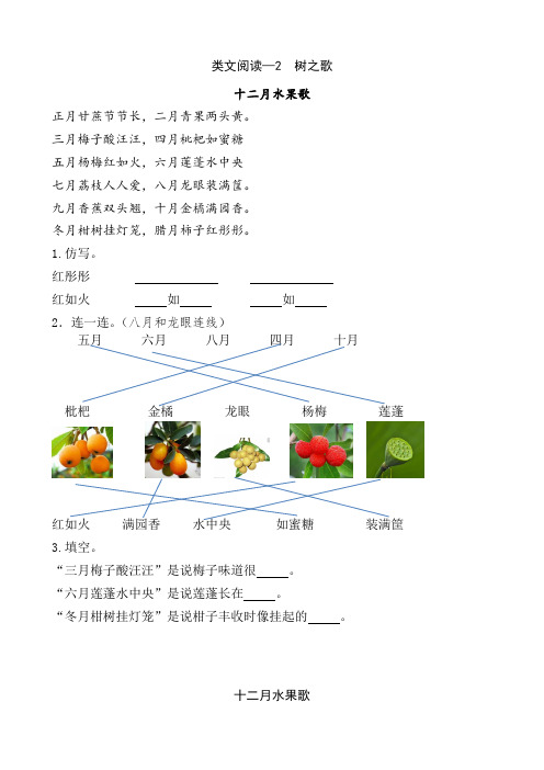 人教部编版二年级语文上册《识字树之歌》类文阅读