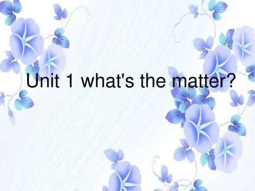 unit1 what's the matter总结