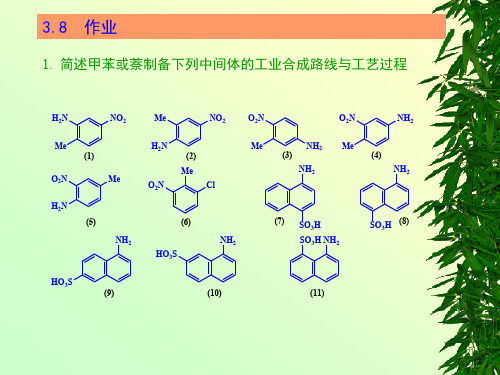 03硝化过程