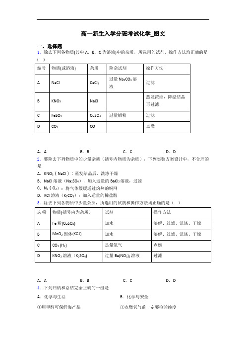 高一新生入学分班考试化学_图文