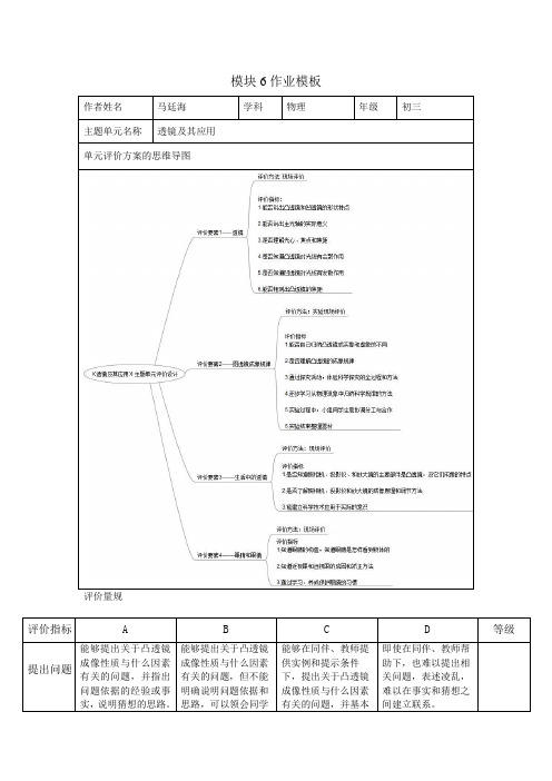 物理 《透镜及其应用》单元评价设计