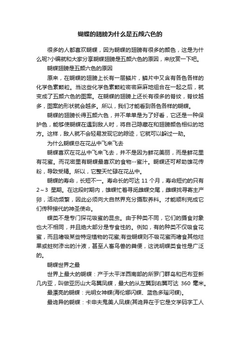 蝴蝶的翅膀为什么是五颜六色的