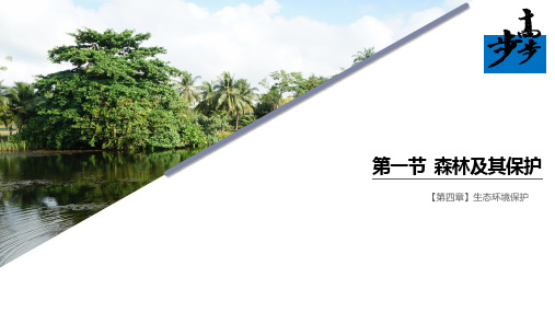 19-20版：4.1森林及其保护（步步高）