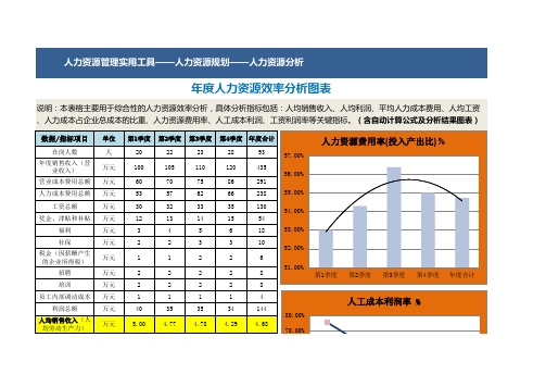 年度人力资源效率分析图表