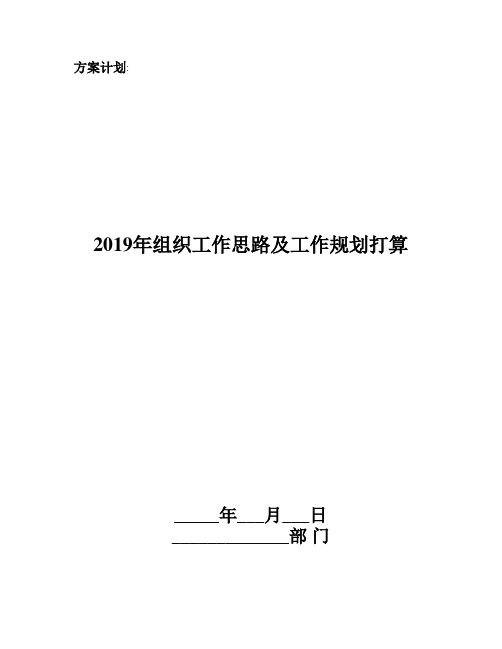 2019年组织工作思路及工作规划打算