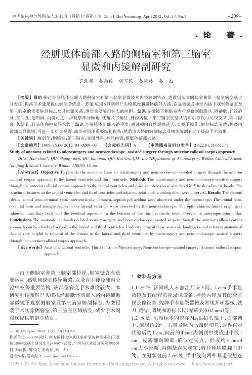 经胼胝体前部入路的侧脑室和第三脑室显微和内镜解剖研究_丁慧超