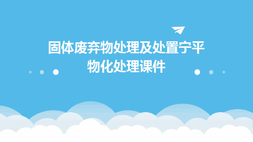 固体废弃物处理及处置宁平物化处理课件