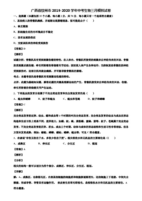 广西省钦州市2019-2020学年中考生物三月模拟试卷含解析