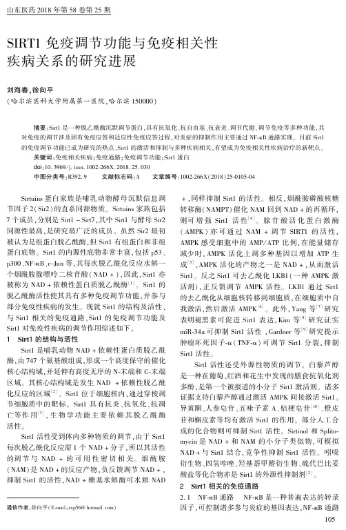 SIRT1免疫调节功能与免疫相关性疾病关系的研究进展