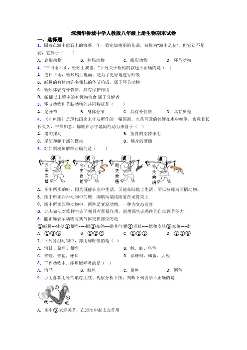 深圳华侨城中学人教版八年级上册生物期末试卷