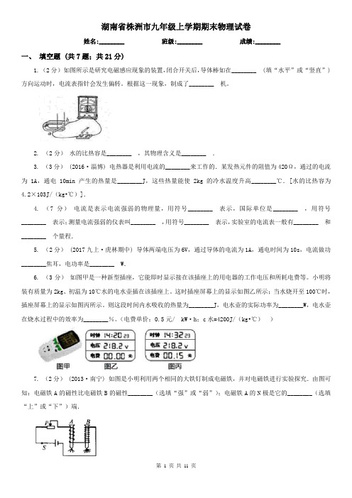 湖南省株洲市九年级上学期期末物理试卷