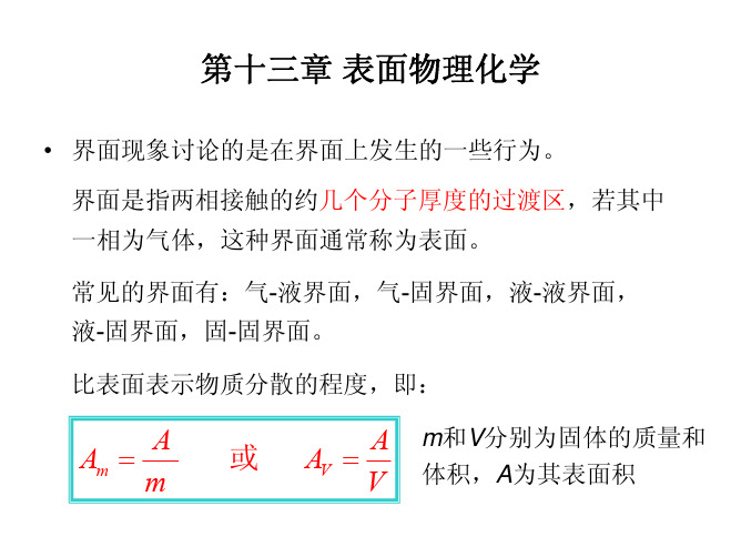 物理化学 第十三章 表面物理化学