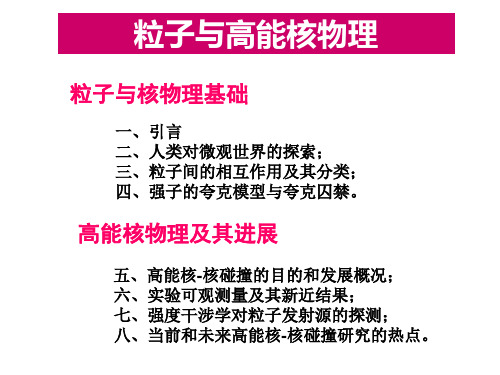 物理类导论：粒子与高能核物理