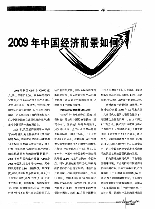 2009年中国经济前景如何？