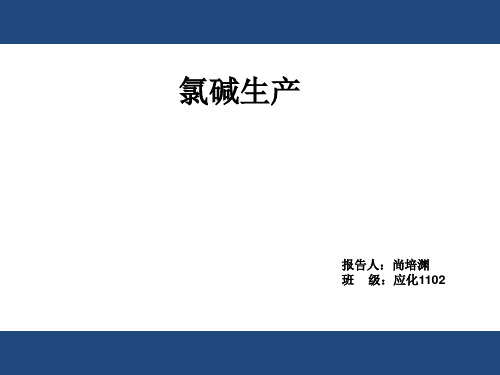 氯碱工艺实习报告