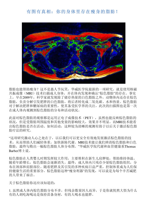 有图有真相：你的身体里存在瘦身的脂肪!