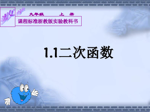 浙教版九年级数学上册课件：1.1二次函数 (共13张PPT)