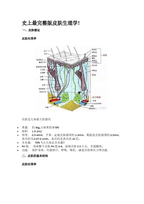 史上最完整版皮肤生理学