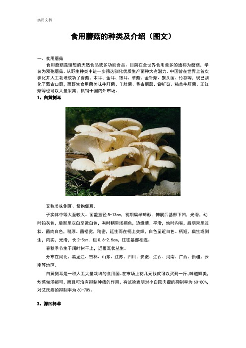 食用蘑菇地种类及图文介绍(附几种常见地食用菌地主要营养成分)