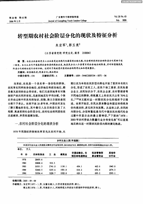 转型期农村社会阶层分化的现状及特征分析