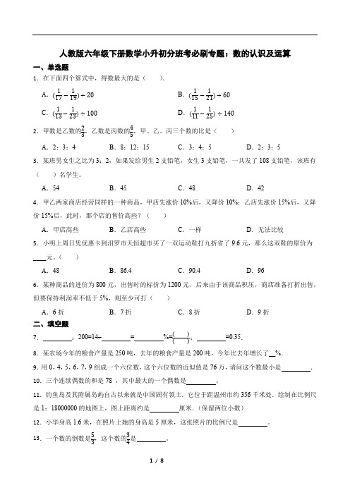 人教版六年级下册数学小升初分班考必刷专题：数的认识及运算