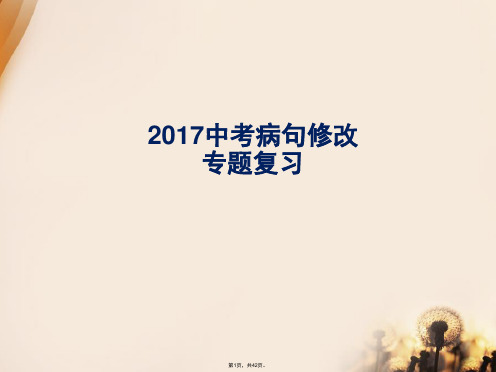 2017中考语文病句修改