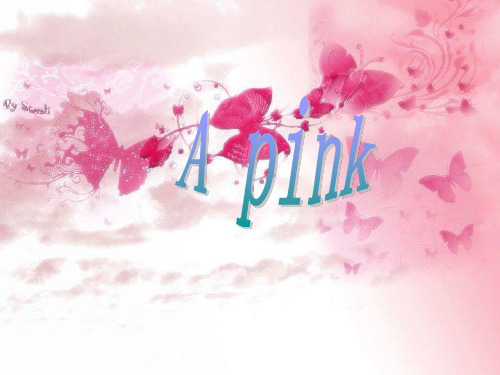 apink(阿粉)