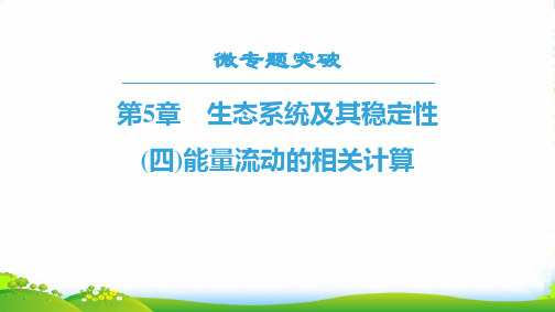 人教版高中生物必修三同步课件：第5章 微专题突破(四)能量流动的相关计算