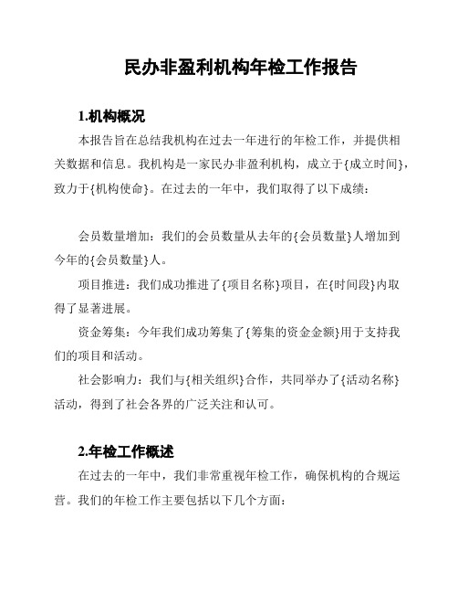 民办非盈利机构年检工作报告