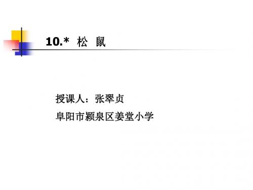 人教版小学语文五年级上册《松鼠》PPT课件