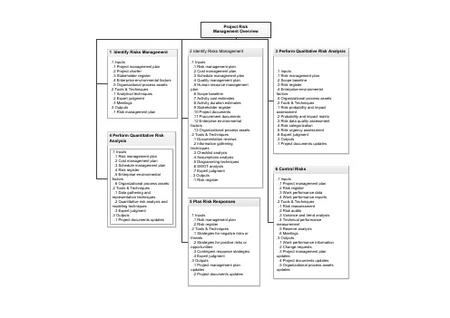 项目风险管理工艺流程图(英文版)