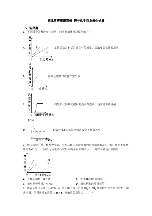 湖北省鄂东南三校 初中化学自主招生试卷