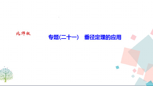 【优质】初三九年数学：《专题二十一)垂径定理的应用》ppt课件