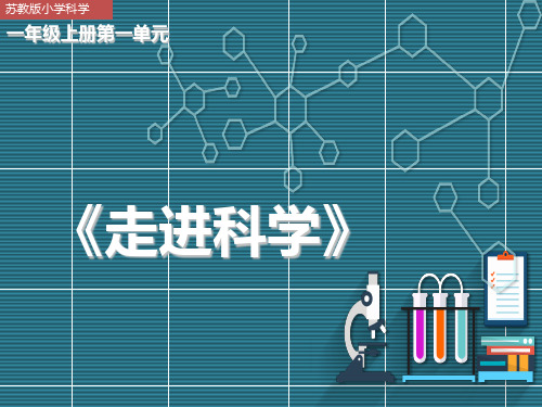 一年级上册科学课件-1小小科学家 苏教版(PPT13页)